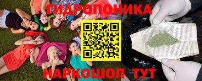 эйфоретик Нальчик