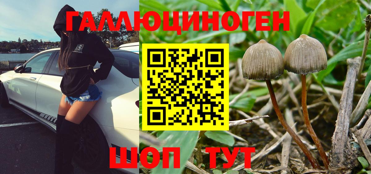 Псилоцибиновые грибы MAGIC MUSHROOMS Тимашёвск
