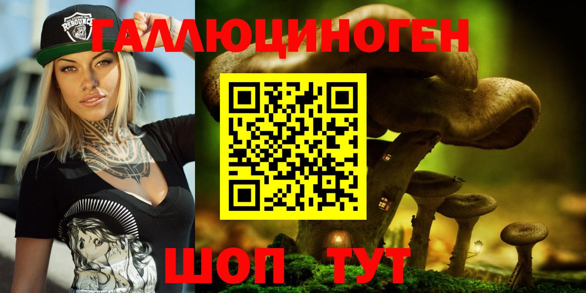 Псилоцибиновые грибы Psilocybe  Вход с VPN  наркотики  Галлюциногенные грибы Psilocybe  Тимашёвск 